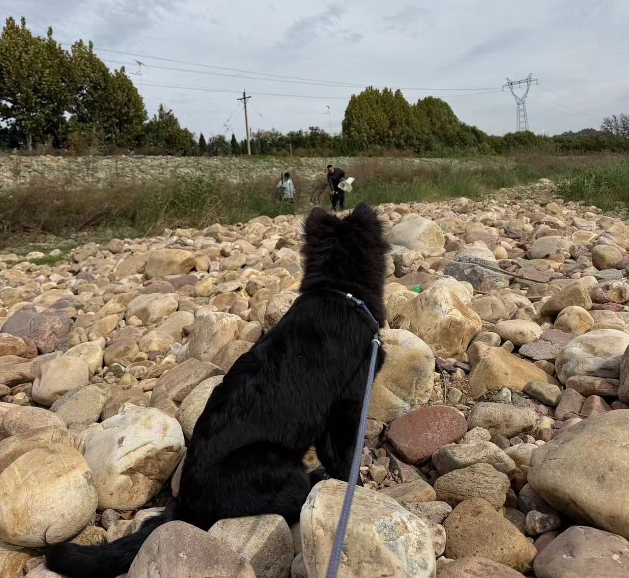 A Fishing Day by the River: Qiqi Took Her Sentry Duty Seriously