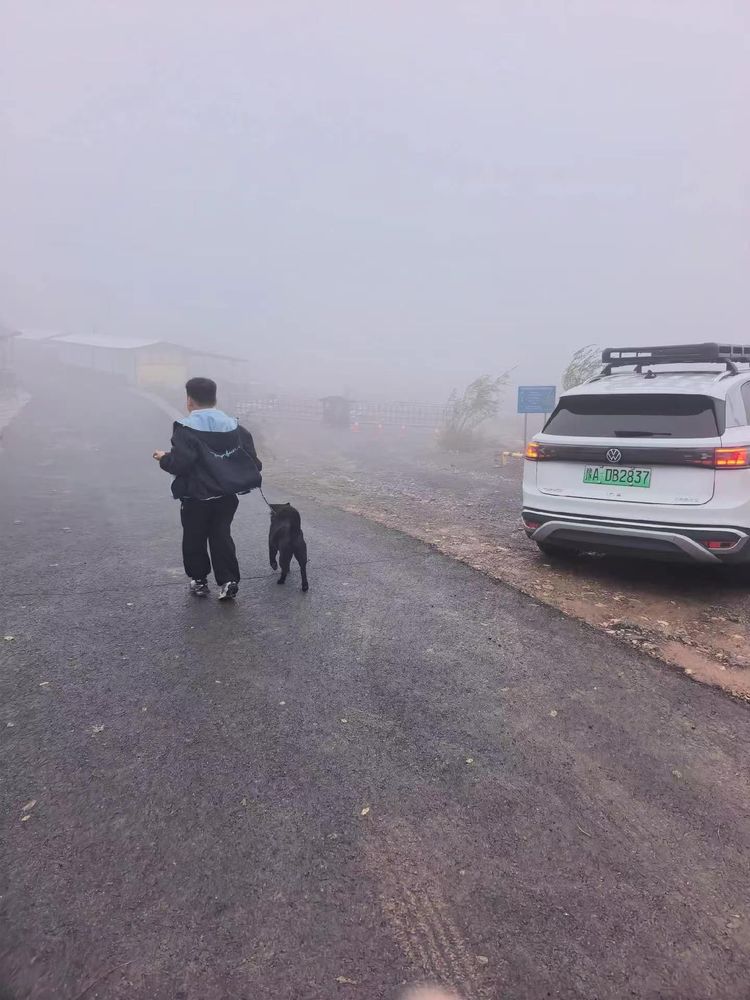 Dog's First Heat: Timing, Signs & Why Birth Dates Matter