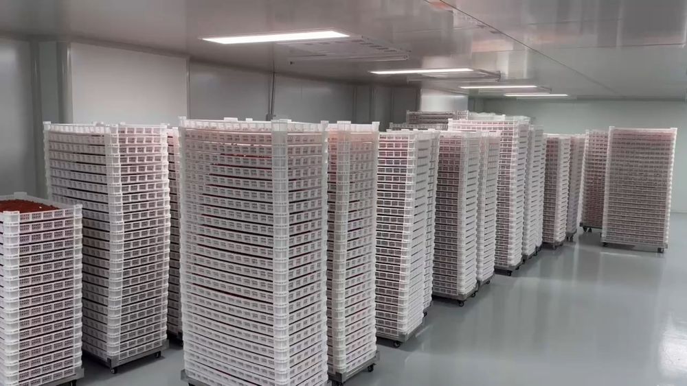Foto de las instalaciones de Doux Biotech 9