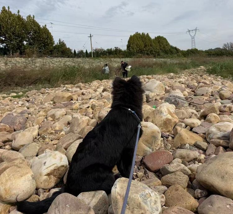 A Fishing Day by the River: Qiqi Took Her Sentry Duty Seriously
