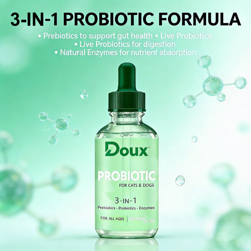 Product image enlarged