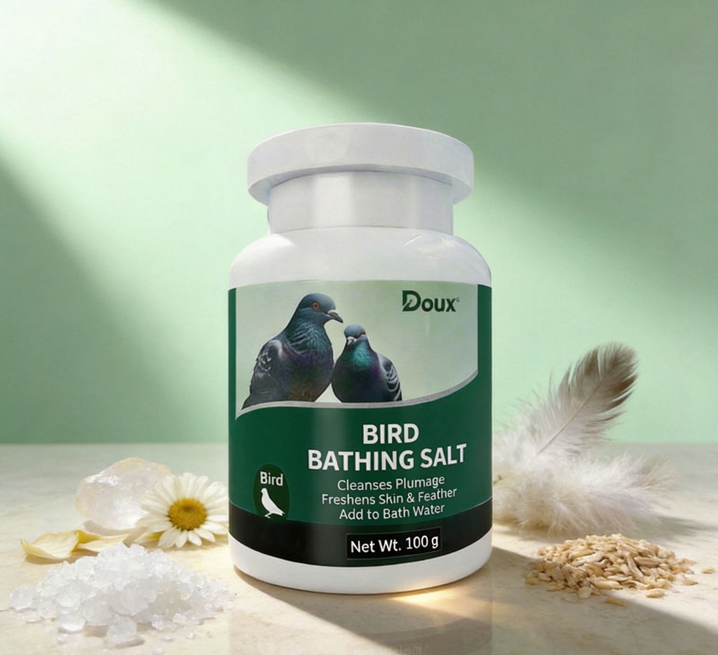Product image enlarged